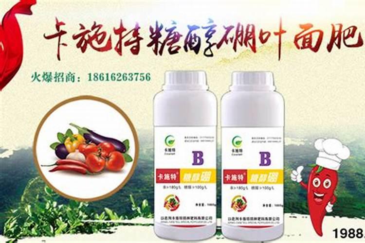 豆角在各个生长期怎样施肥