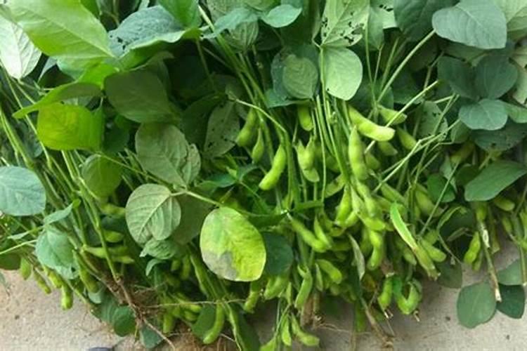 果树打药不用食用的温馨提示怎么写