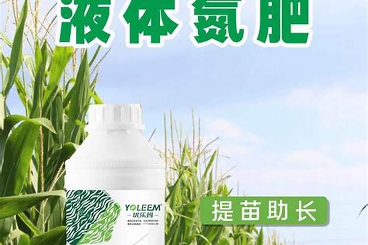 水溶肥和液体肥有什么区别