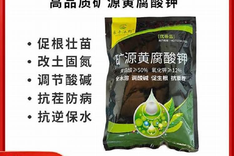 含镁的肥料有哪些