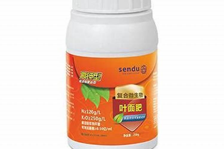 桔子皮有何用 桔子皮有什么药用