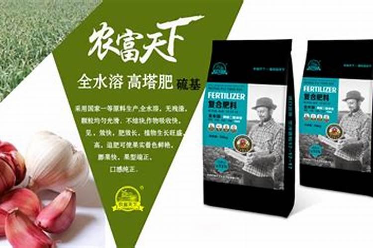 大蒜施肥方法