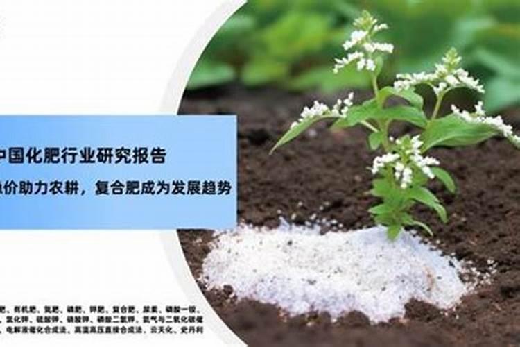 查一查,地震的危害