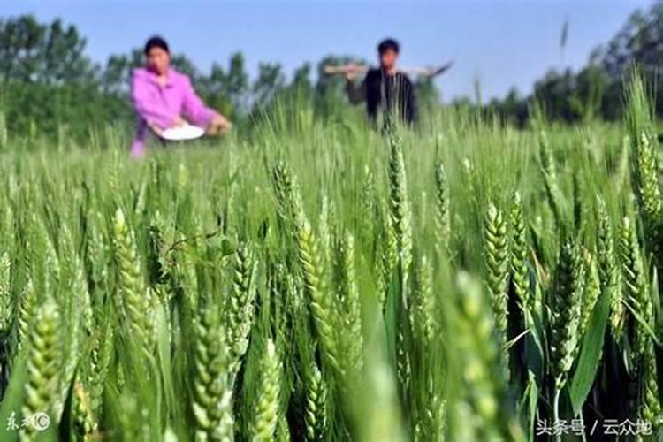 薄肥勤施是什么意思