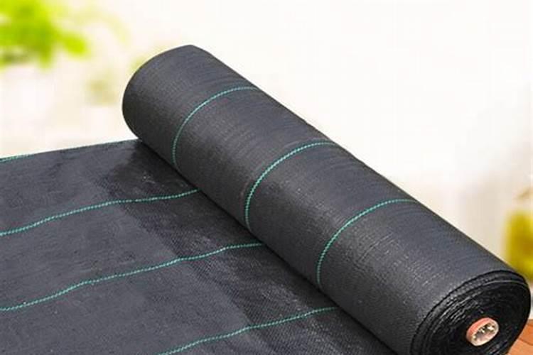 青菜施肥用复合还是尿素