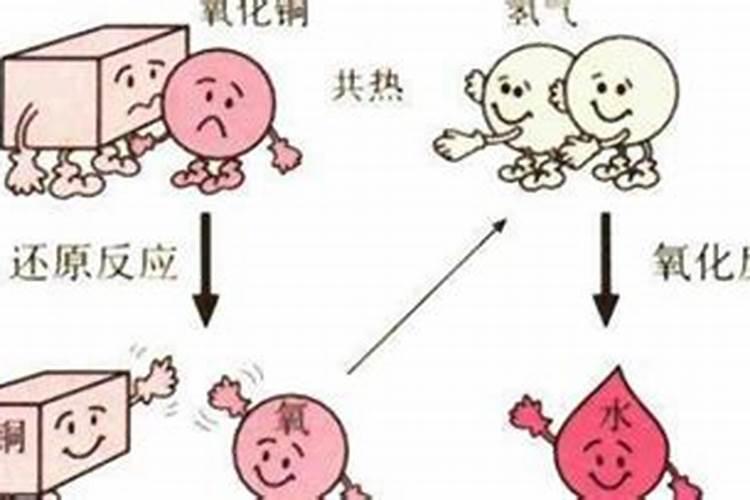 氮肥利用了氮气的什么性质,氮肥是什么肥