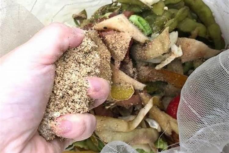 菜叶,果皮这些用来发酵做肥料的东西,可以有水分的吗？还是一定要用晒干的...