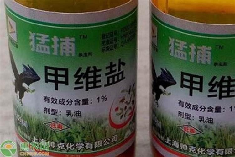 嘉宝果种几年才结果