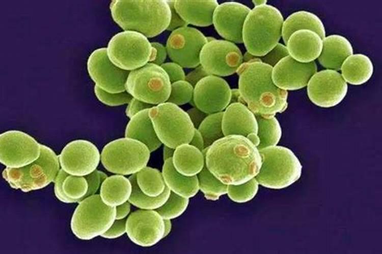 ph值对磷肥影响