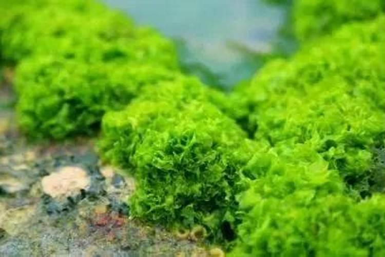 5月24日周三A股题材概念板块