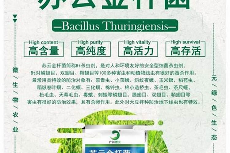 盆栽辣椒施什么肥