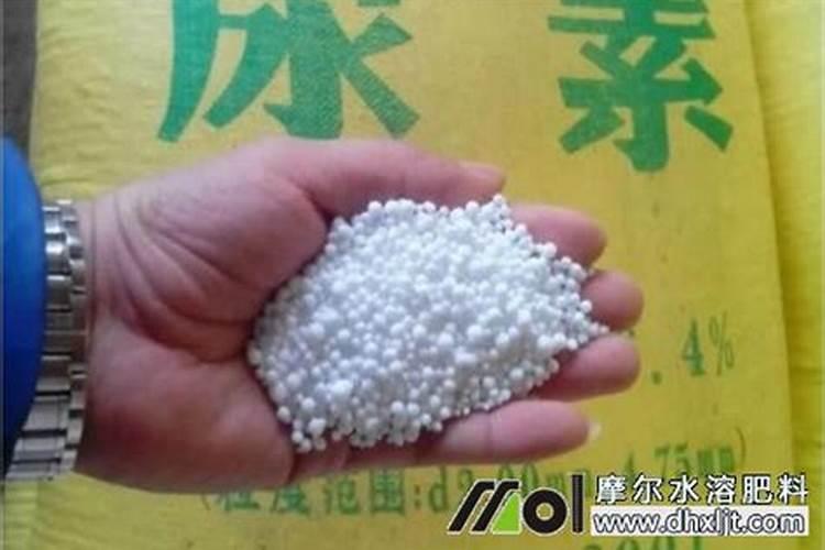 果园浇水时适合冲施碳酸氢铵吗？