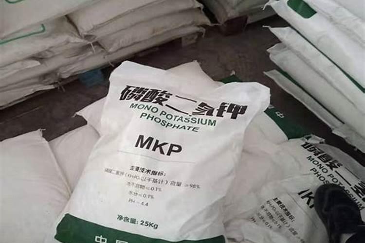 沙土地适合种什么农作物