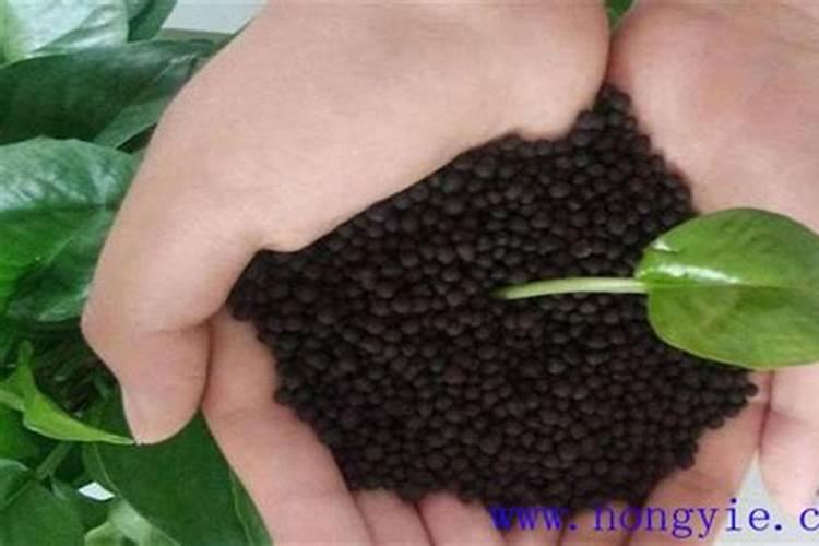 科普颗粒水溶肥的施用方法