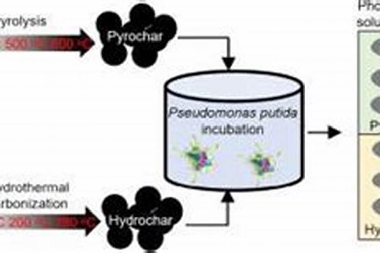 磷肥不溶于水怎样被植物吸收