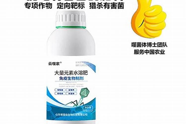 兰花用什么肥料