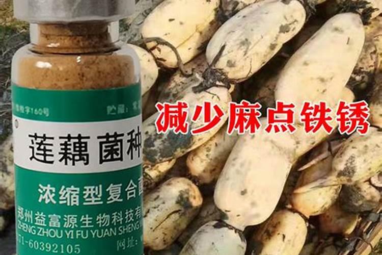 莲蓬施肥用氯化钾还是硫酸钾？
