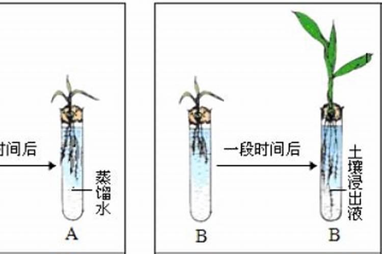 种小麦一亩地用多少复合肥
