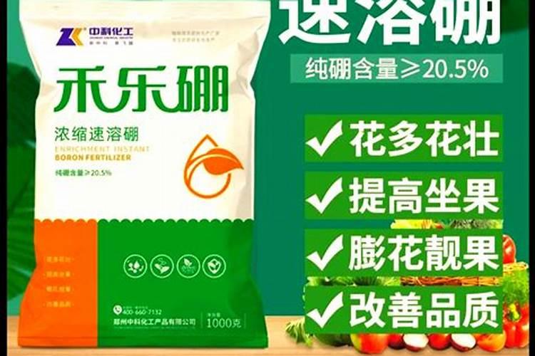 葡萄为什么要施钾肥,葡萄施钾肥有什么后果