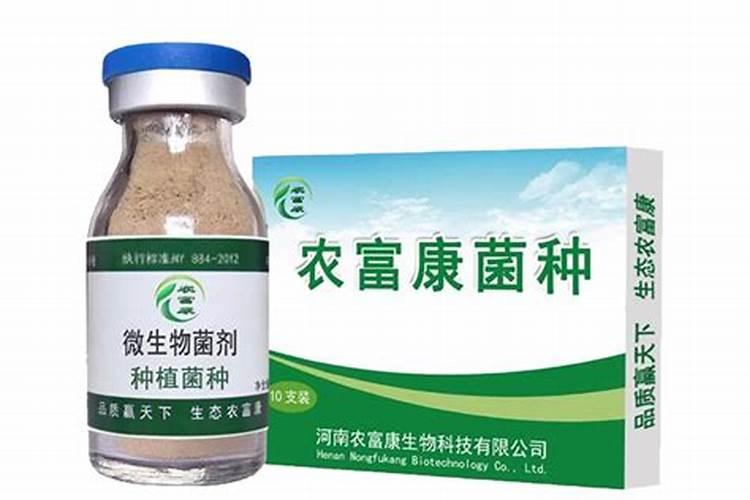 豆类植物都能固氮吗