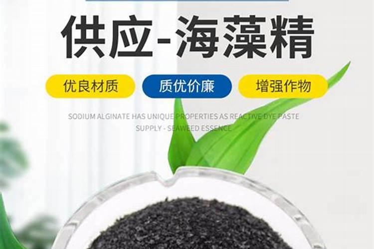 什么是海藻肥
