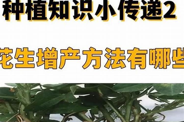 侯氏制碱法原理的原理简介