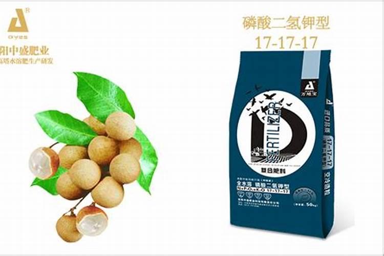 龙眼的水肥管理要点是什么？