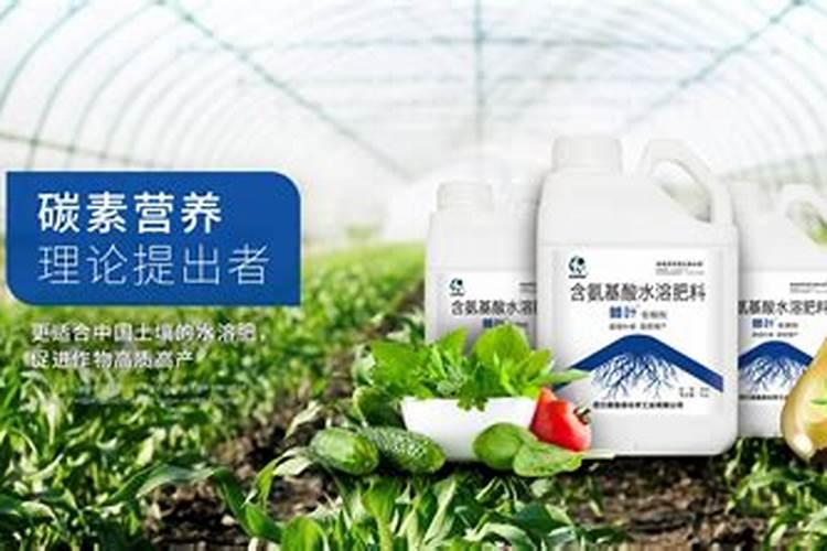 柑橘专用促花叶面肥柑橘促花用什么肥柑橘促花肥批发