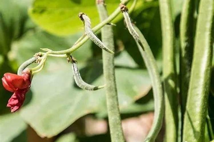 家庭KTV怎么调音效？