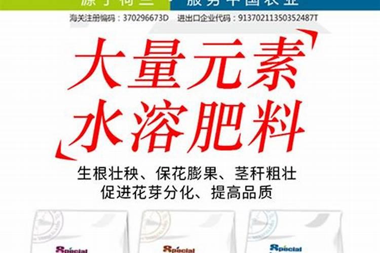 果树苗施什么肥比较好