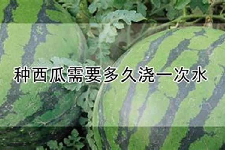西瓜施肥时间和方法