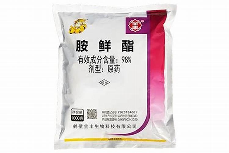 崂山最出名的三个茶