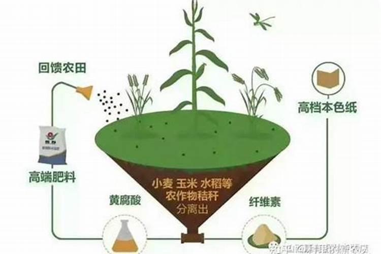 黄腐酸和黄腐酸钾的区别是什么