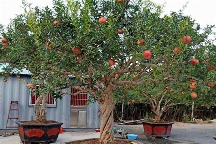 矾山磷矿有含量17个磷5个钾的过磷酸钙吗