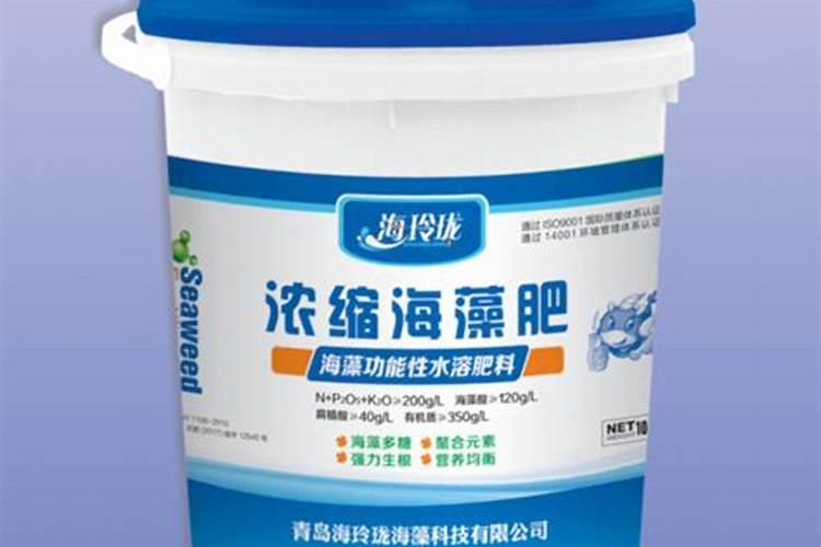 长寿花怎样施磷酸二氢钾