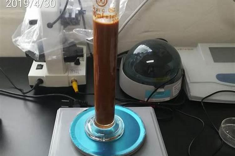 如何用面肥发面全过程