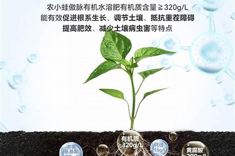 什么肥料能促长植物的根