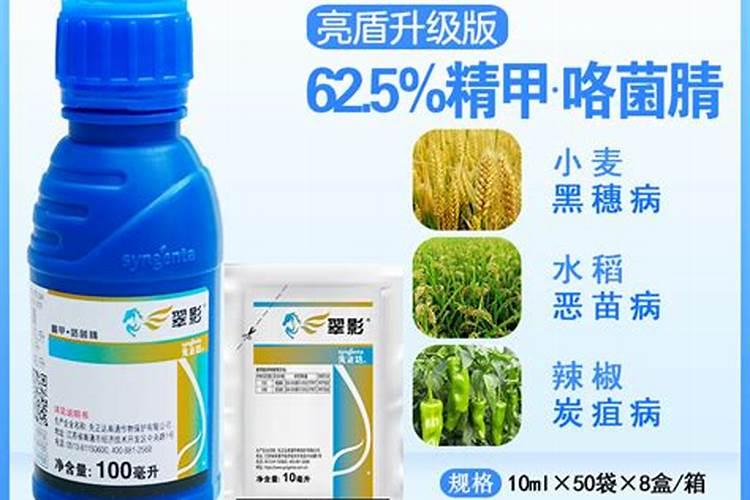 过年,买回家的蝴蝶兰应该怎么养
