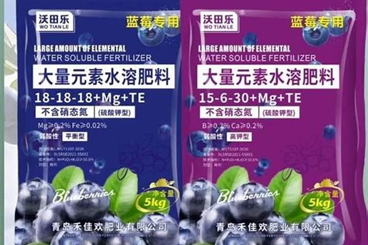 蓝莓用什么肥料最合适怎样给蓝莓施肥