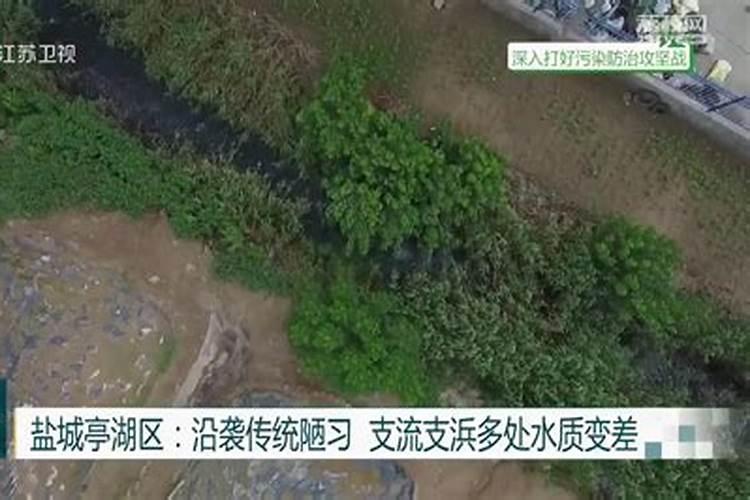 高温天气草莓苗冲什么肥料好呢