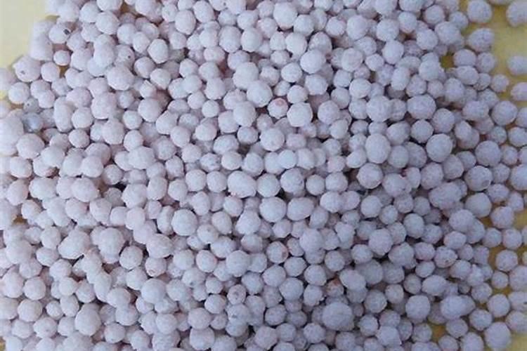 根腾微生物菌肥加生根粉可以吗