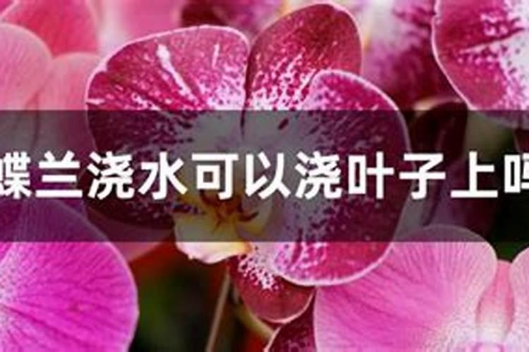 桃树打药关键三遍药