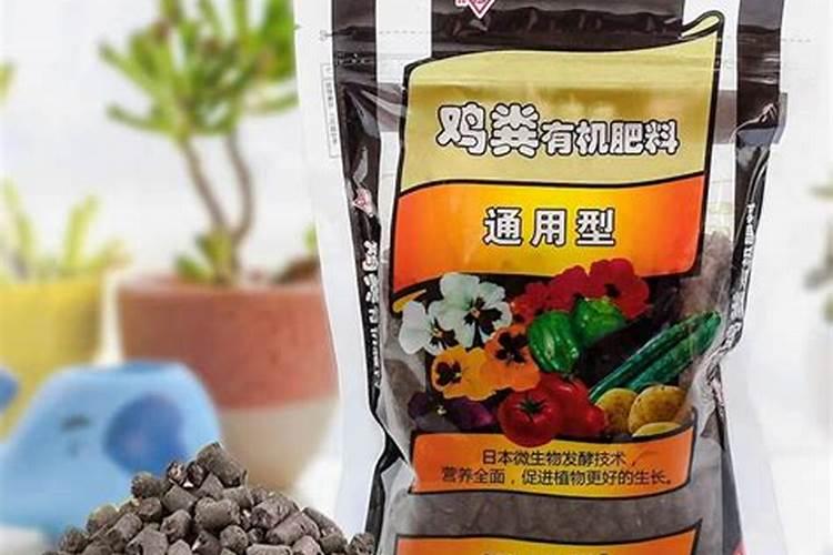 家庭养花要买什么肥料最好(自己在家种花适合的花肥)