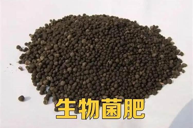 种植花生施什么肥料好