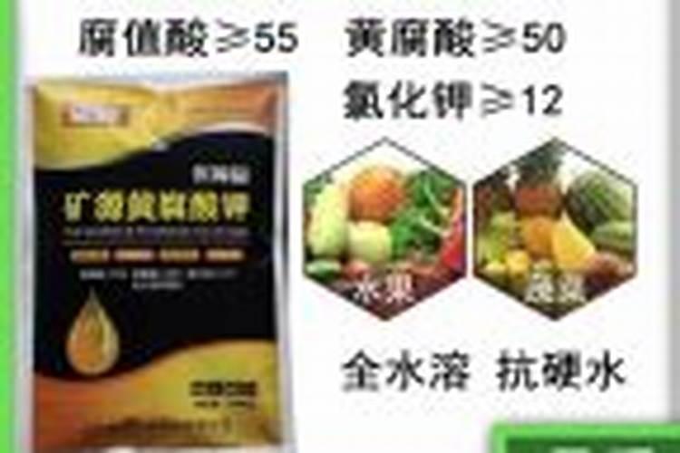 芸苔素在桃树花前喷施什么时间好？