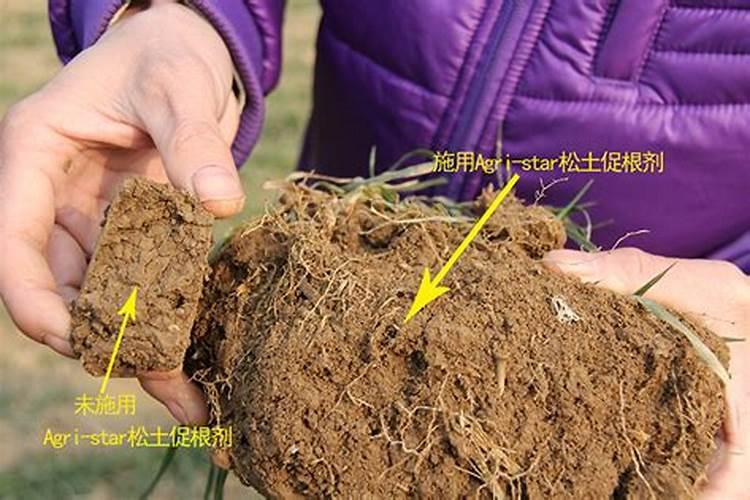 土壤板结怎么快速解决