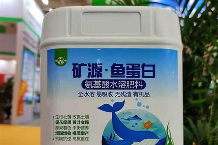 鱼蛋白使用注意事项