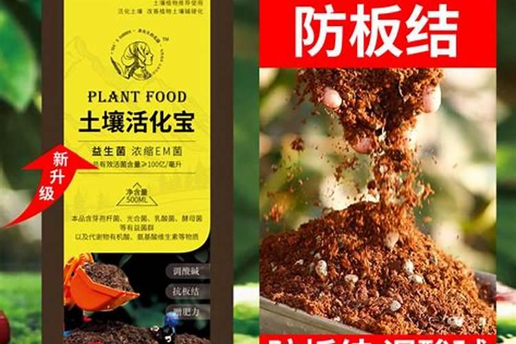 养花土壤板结如何快速改良花土为什么会板结