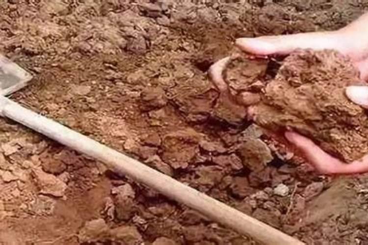 土壤板结怎么办？有什么水溶肥可以改善吗？