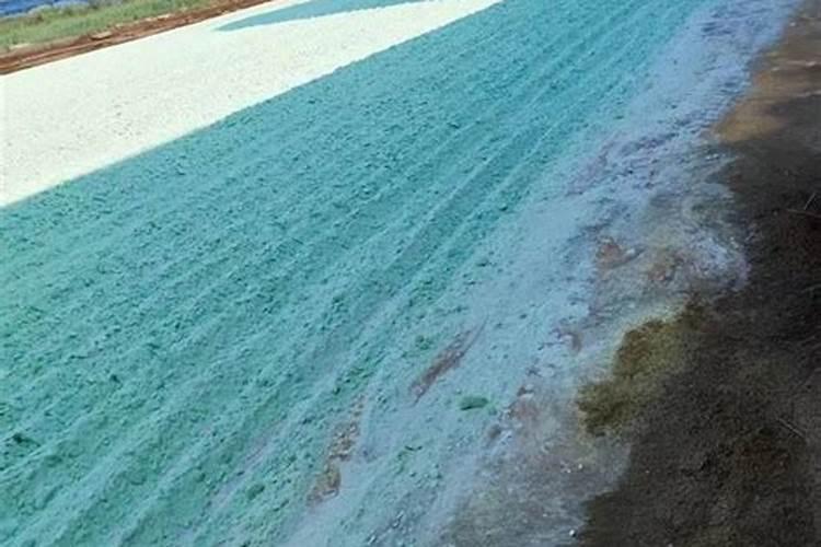 冬季黄瓜底肥一亩用多少？